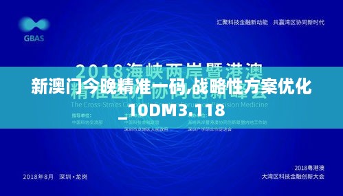 新澳门今晚精准一码,战略性方案优化_10DM3.118