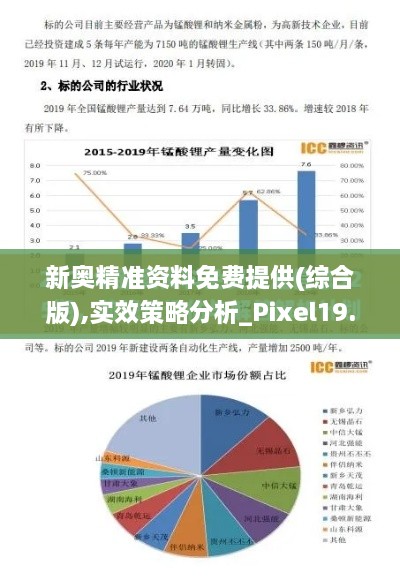 新奥精准资料免费提供(综合版),实效策略分析_Pixel19.813