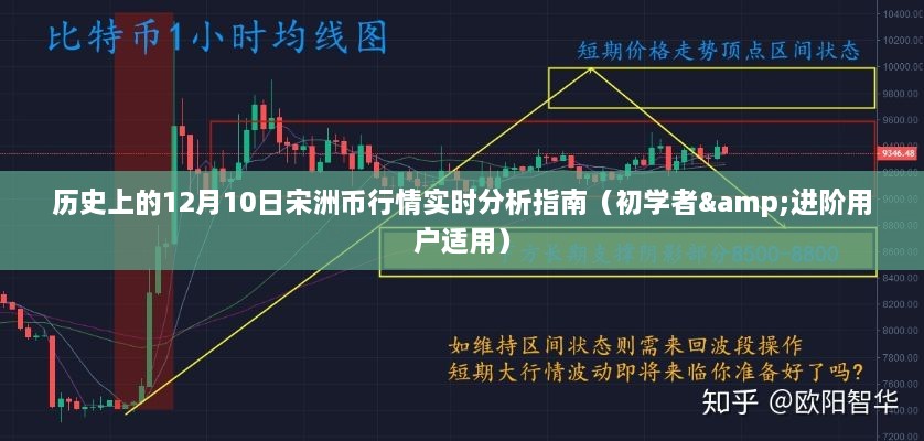 历史上的宋洲币行情实时分析指南，适合初学者与进阶用户的12月10日指南