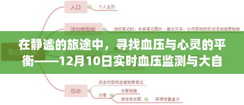 静谧旅途中的血压与心灵平衡，实时监测与大自然的拥抱之旅（12月10日）