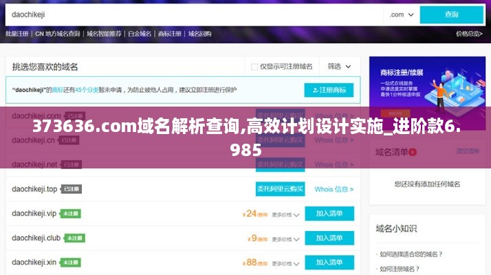 373636.com域名解析查询,高效计划设计实施_进阶款6.985