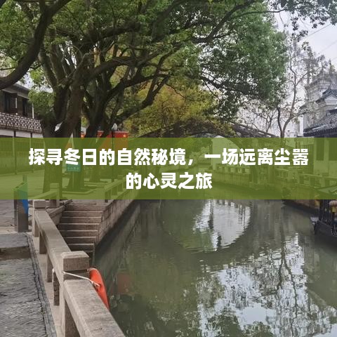 冬日自然秘境探寻，心灵远离尘嚣之旅