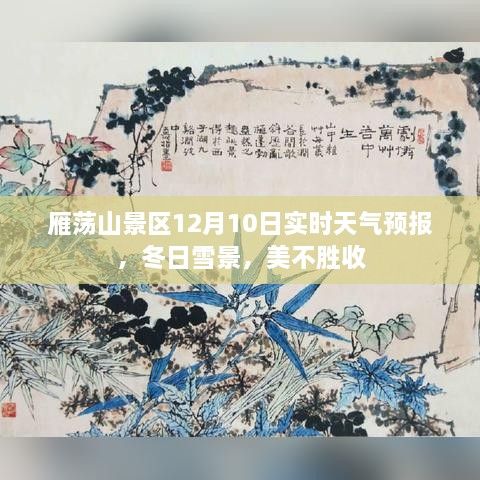 雁荡山景区冬日雪景实时播报，美不胜收，天气预报12月10日速览