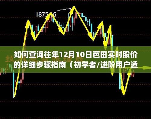 查询往年芭田实时股价详细步骤指南，适合初学者与进阶用户参考