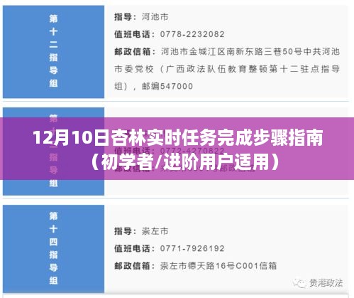 杏林实时任务完成步骤指南，适合初学者与进阶用户的12月10日操作指南