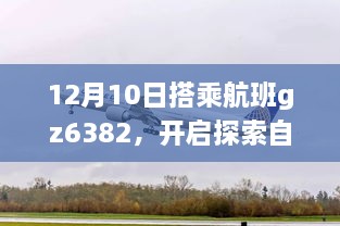 2024年12月11日 第17页