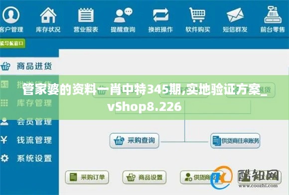 管家婆的资料一肖中特345期,实地验证方案_vShop8.226