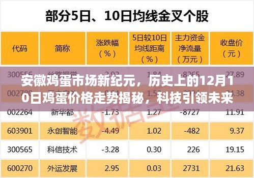 2024年12月11日 第11页