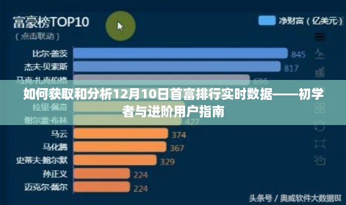 12月10日首富排行实时数据获取与分析指南，从初学者到进阶用户的全方位指南