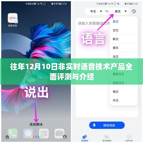 往年12月10日非实时语音技术产品全面评测与概览
