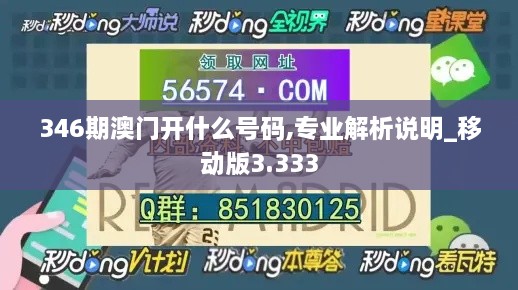 346期澳门开什么号码,专业解析说明_移动版3.333