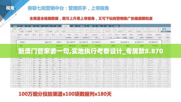 新澳门管家婆一句,实地执行考察设计_专属款8.870