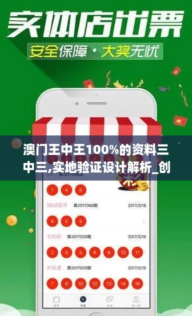 澳门王中王100%的资料三中三,实地验证设计解析_创新版2.446