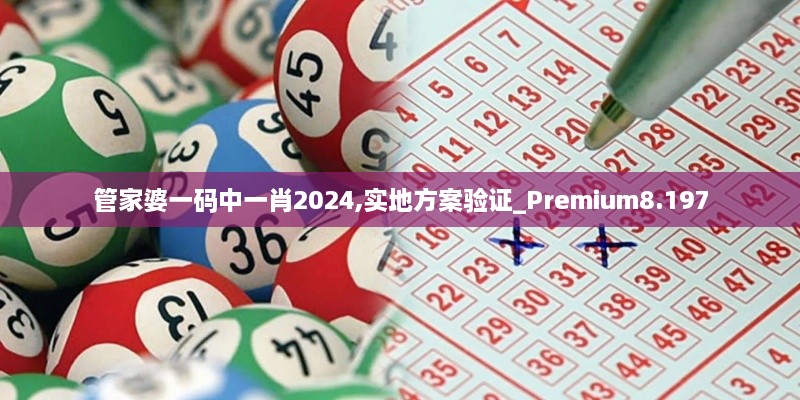 管家婆一码中一肖2024,实地方案验证_Premium8.197