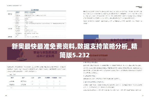 新奥最快最准免费资料,数据支持策略分析_精简版5.232