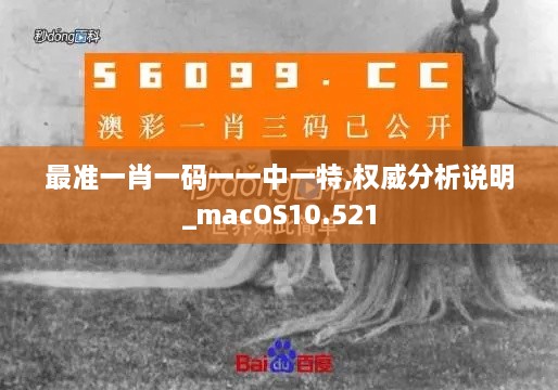 最准一肖一码一一中一特,权威分析说明_macOS10.521