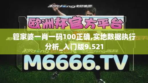 管家婆一肖一码100正确,实地数据执行分析_入门版9.521