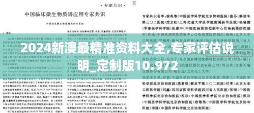 2024新澳最精准资料大全,专家评估说明_定制版10.972