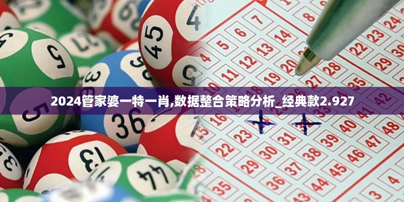 2024管家婆一特一肖,数据整合策略分析_经典款2.927