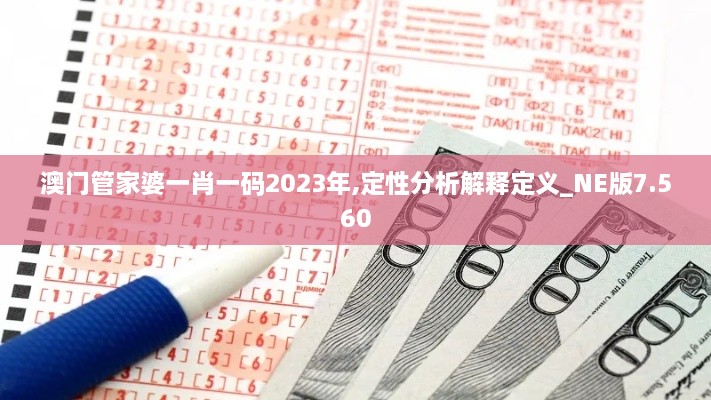 澳门管家婆一肖一码2023年,定性分析解释定义_NE版7.560