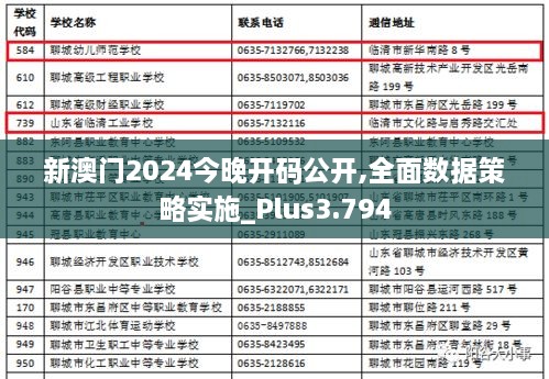 新澳门2024今晚开码公开,全面数据策略实施_Plus3.794