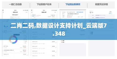 二肖二码,数据设计支持计划_云端版7.348
