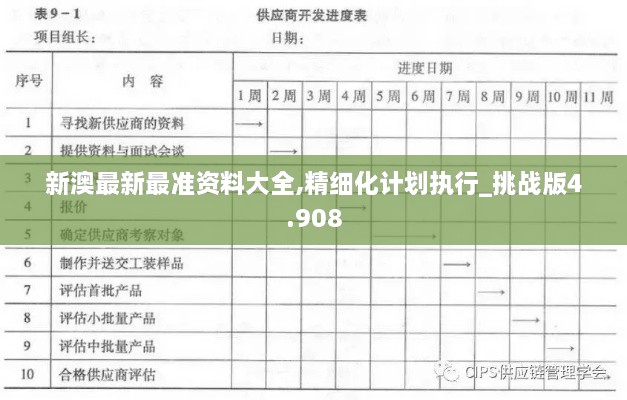 新澳最新最准资料大全,精细化计划执行_挑战版4.908