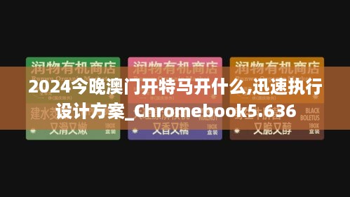 2024今晚澳门开特马开什么,迅速执行设计方案_Chromebook5.636