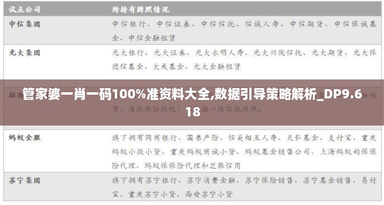 管家婆一肖一码100%准资料大全,数据引导策略解析_DP9.618