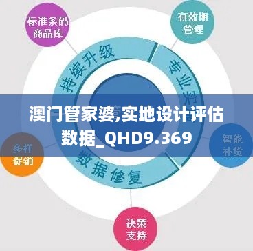 澳门管家婆,实地设计评估数据_QHD9.369