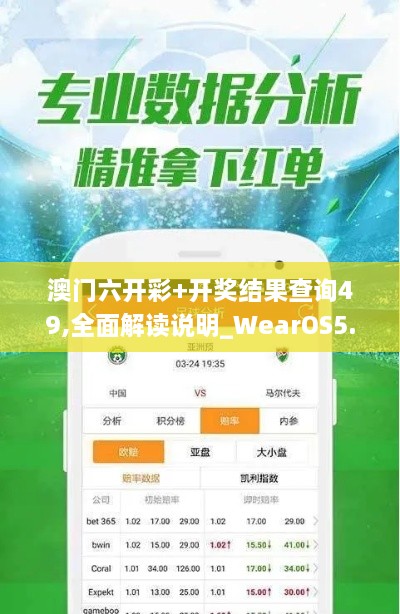 澳门六开彩+开奖结果查询49,全面解读说明_WearOS5.351