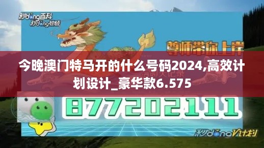 今晚澳门特马开的什么号码2024,高效计划设计_豪华款6.575