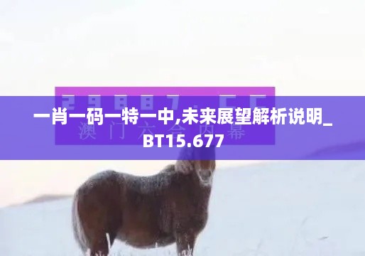 一肖一码一特一中,未来展望解析说明_BT15.677