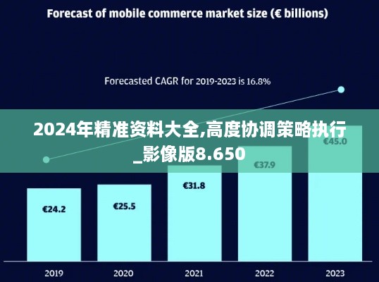 2024年精准资料大全,高度协调策略执行_影像版8.650