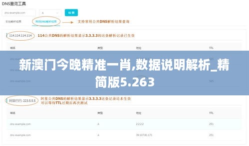 新澳门今晚精准一肖,数据说明解析_精简版5.263