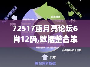 72517蓝月亮论坛6肖12码,数据整合策略解析_苹果款12.945