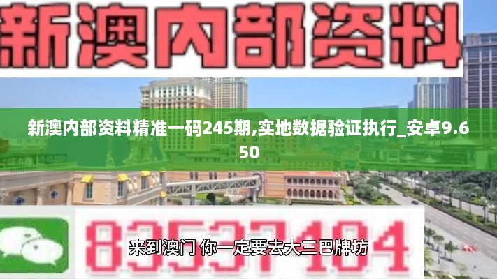 新澳内部资料精准一码245期,实地数据验证执行_安卓9.650