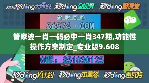 管家婆一肖一码必中一肖347期,功能性操作方案制定_专业版9.608