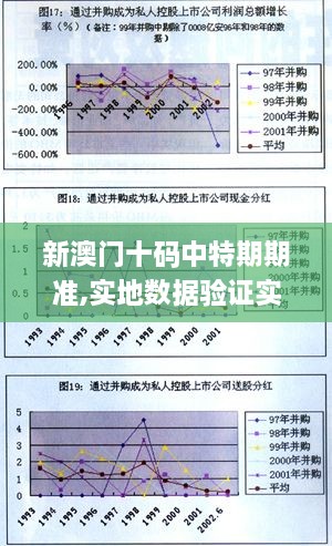 新澳门十码中特期期准,实地数据验证实施_KP5.958