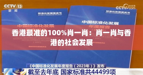 2024年12月13日 第21页