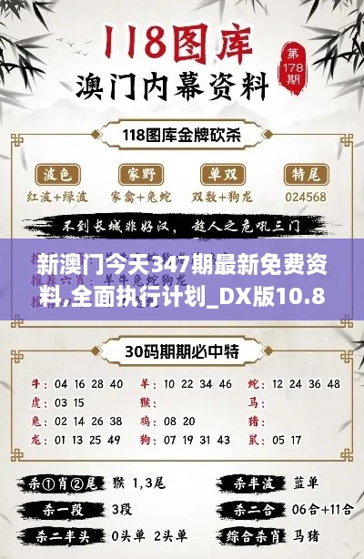 新澳门今天347期最新免费资料,全面执行计划_DX版10.804