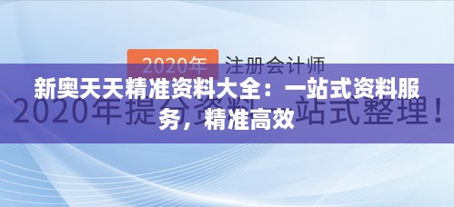 新奥天天精准资料大全：一站式资料服务，精准高效