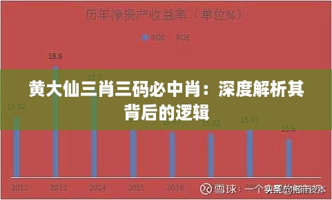 黄大仙三肖三码必中肖：深度解析其背后的逻辑