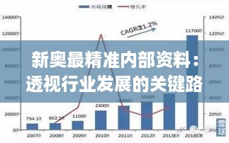 新奥最精准内部资料：透视行业发展的关键路径