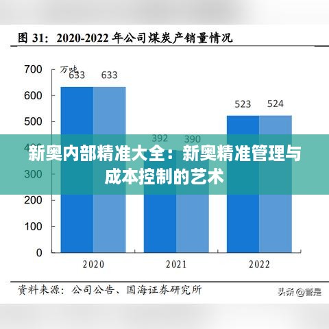 新奥内部精准大全：新奥精准管理与成本控制的艺术