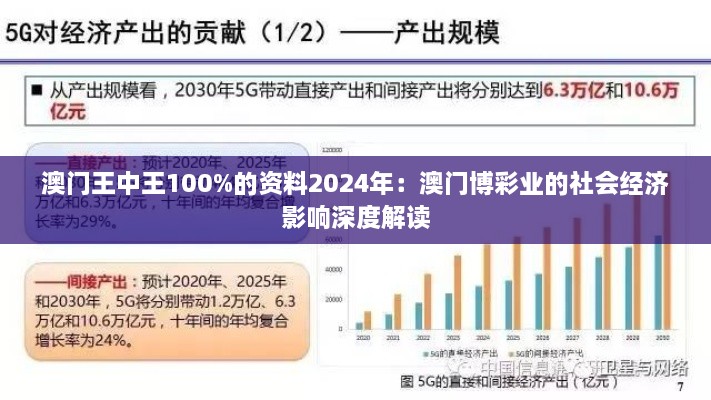 澳门王中王100%的资料2024年：澳门博彩业的社会经济影响深度解读