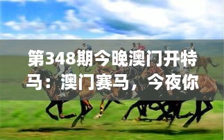 第348期今晚澳门开特马：澳门赛马，今夜你下注了吗？