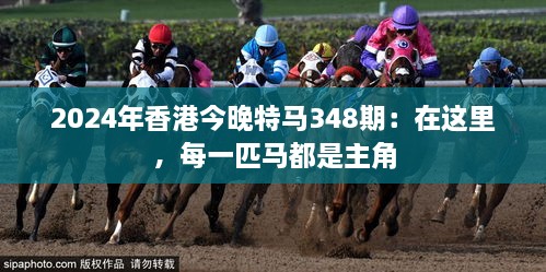 2024年香港今晚特马348期：在这里，每一匹马都是主角