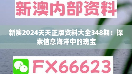 新澳2024天天正版资料大全348期：探索信息海洋中的瑰宝