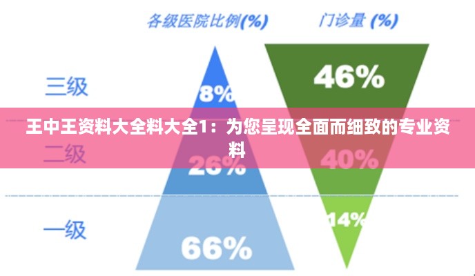 王中王资料大全料大全1：为您呈现全面而细致的专业资料